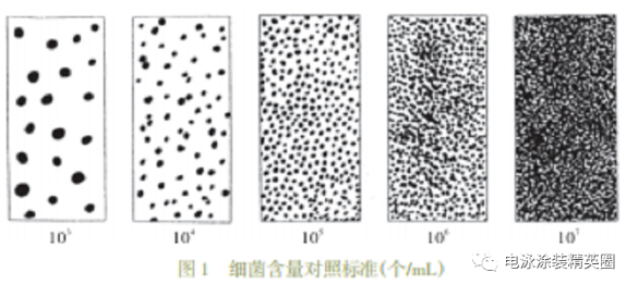 細菌的危害及檢測方法